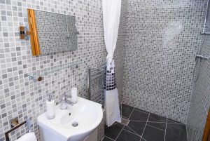 Bathroom at Carnavis Cottage with walk in shower