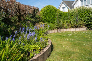 Grassed garden with seasonal shrubs