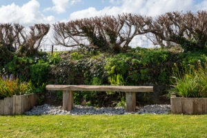 Driftwood bench in the garden at Morvoren