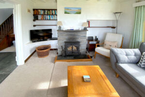 Lounge at The buck with wood burner and tv