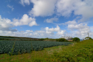 Countryside views from the rear garden at Torridon