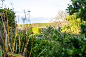 Views across Trevone at Carrek Cottage