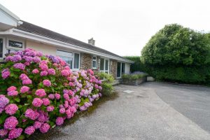 Exterior front at Tamarisk showing parking area and flowerbed