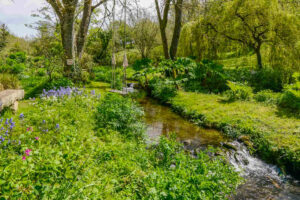 A beautiful stream and rope swing at Millingworth Mill