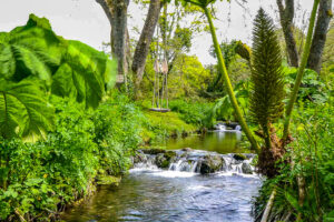 A beautiful stream and rope swing at Millingworth Mill