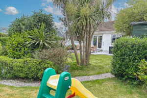 The rear garden at Tristan with shrubs and Cornish palms